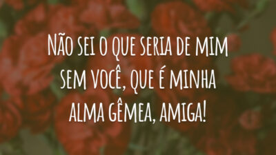 Não sei o que seria de mim sem você, que é minha alma gêmea, amiga!