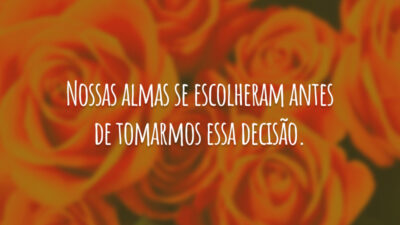 Nossas almas se escolheram antes de tomarmos essa decisão.