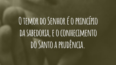 O temor do Senhor é o princípio da sabedoria, e o conhecimento do Santo a prudência.