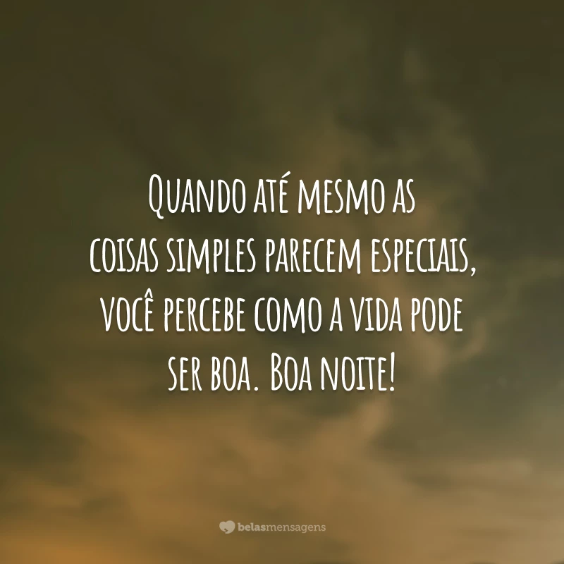 Quando até mesmo as coisas simples parecem especiais, você percebe como a vida pode ser boa. Boa noite!