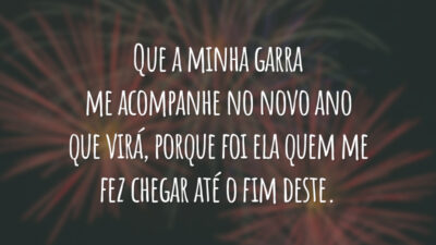 Que a minha garra me acompanhe no novo ano que virá, porque foi ela quem me fez chegar até o fim deste.