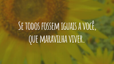 Se todos fossem iguais a você, que maravilha viver.