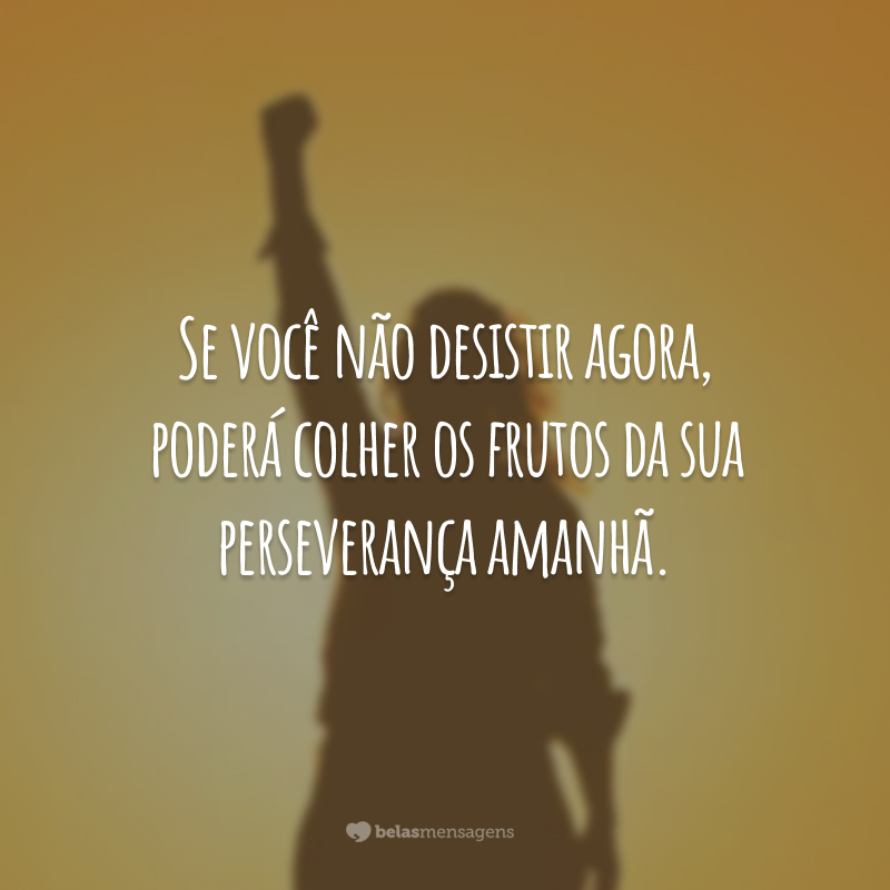 Se você não desistir agora, poderá colher os frutos da sua perseverança amanhã.