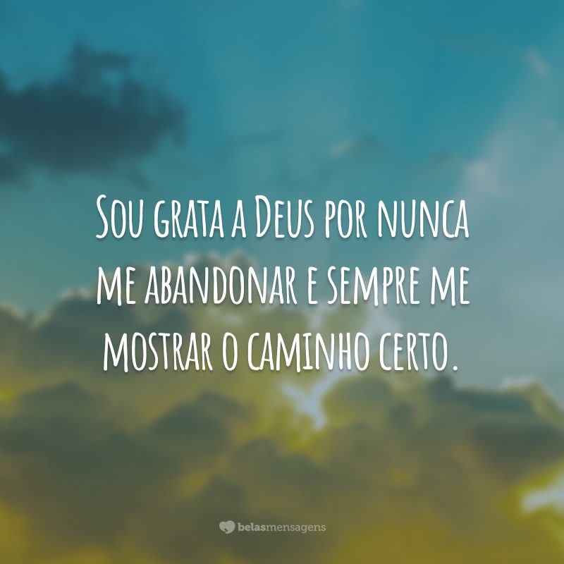 Sou grata a Deus por nunca me abandonar e sempre me mostrar o caminho certo.