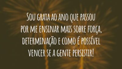 Sou grata ao ano que passou por me ensinar mais sobre força, determinação e como é possível vencer se a gente persistir!