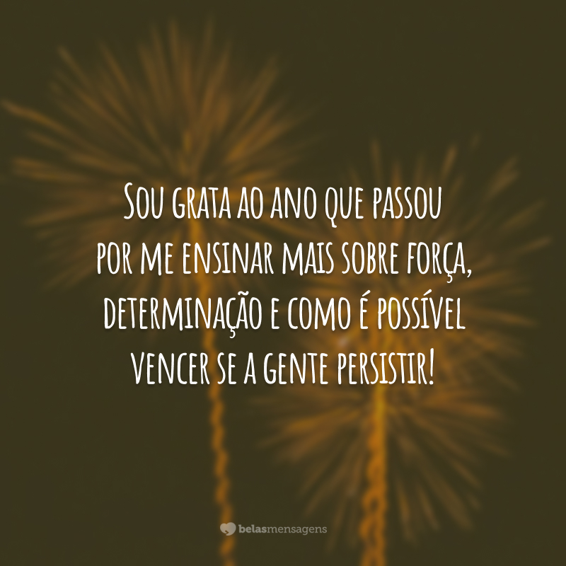 Sou grata ao ano que passou por me ensinar mais sobre força, determinação e como é possível vencer se a gente persistir!