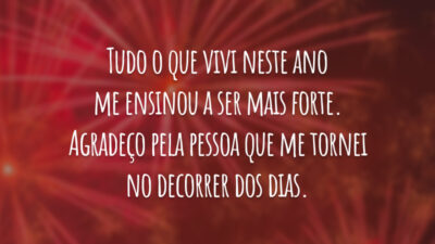 Tudo o que vivi neste ano me ensinou a ser mais forte. Agradeço pela pessoa que me tornei no decorrer dos dias.