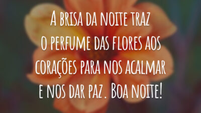 A brisa da noite traz o perfume das flores aos corações para nos acalmar e nos dar paz. Boa noite!