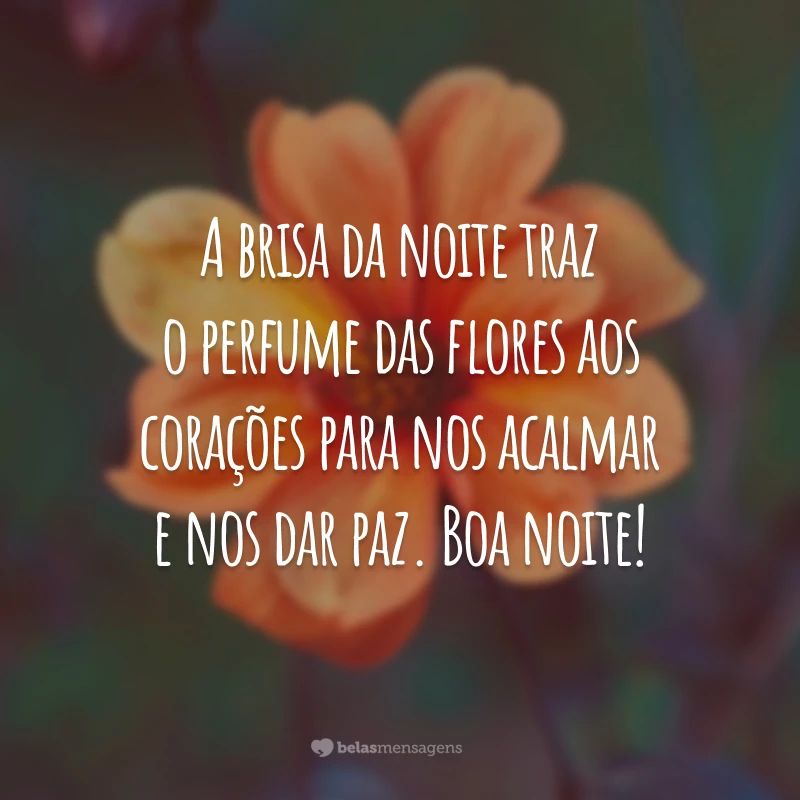 A brisa da noite traz o perfume das flores aos corações para nos acalmar e nos dar paz. Boa noite!