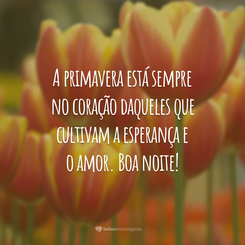 A primavera está sempre no coração daqueles que cultivam a esperança e o amor. Boa noite!