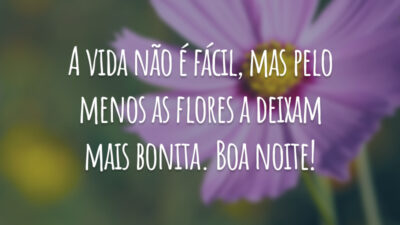 A vida não é fácil, mas pelo menos as flores a deixam mais bonita. Boa noite!