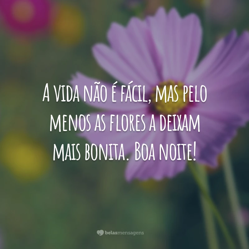 A vida não é fácil, mas pelo menos as flores a deixam mais bonita. Boa noite!