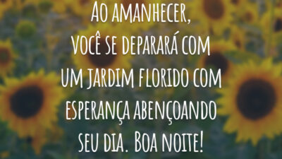 Ao amanhecer, você se deparará com um jardim florido com esperança abençoando seu dia. Boa noite!