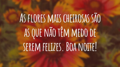 As flores mais cheirosas são as que não têm medo de serem felizes. Boa noite!