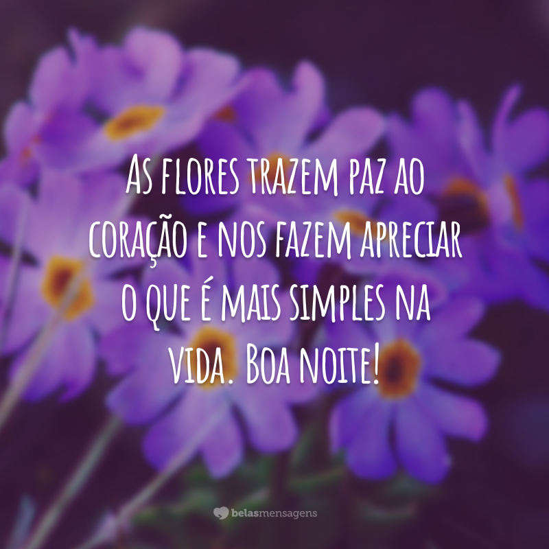 As flores trazem paz ao coração e nos fazem apreciar o que é mais simples na vida. Boa noite!