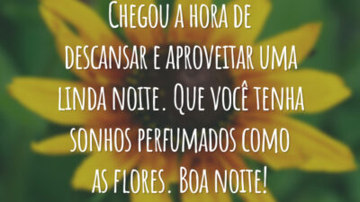 Chegou a hora de descansar e aproveitar uma linda noite. Que você tenha sonhos perfumados como as flores. Boa noite!