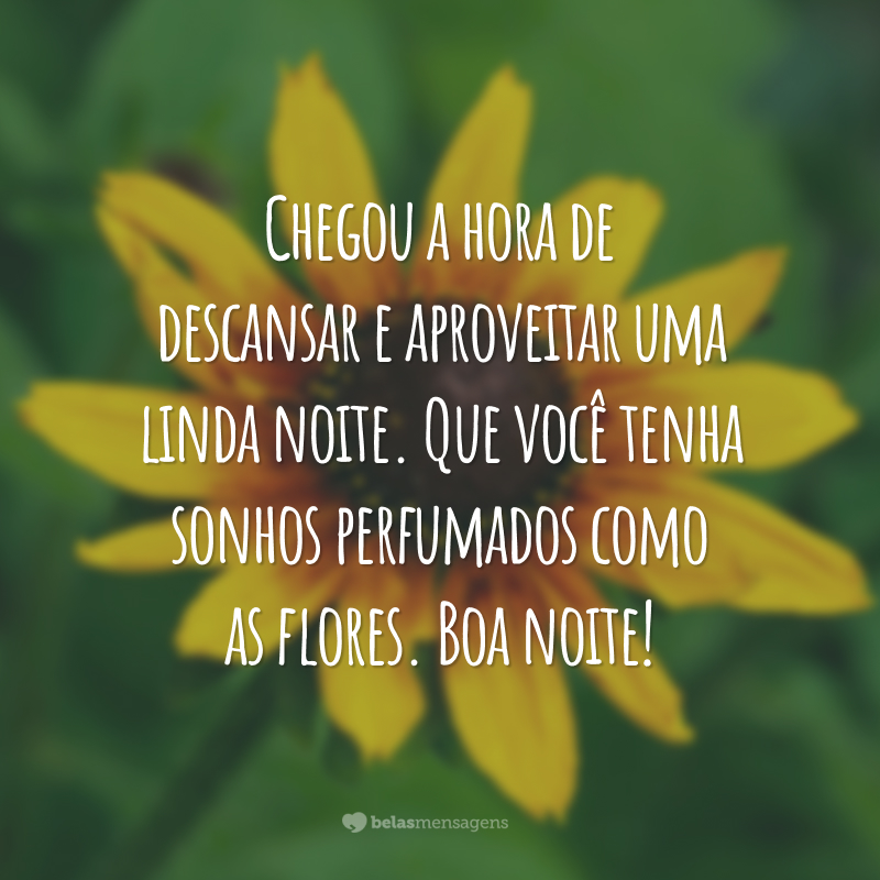 Chegou a hora de descansar e aproveitar uma linda noite. Que você tenha sonhos perfumados como as flores. Boa noite!