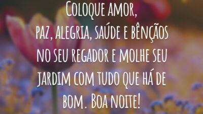 Coloque amor, paz, alegria, saúde e bênçãos no seu regador e molhe seu jardim com tudo que há de bom. Boa noite!