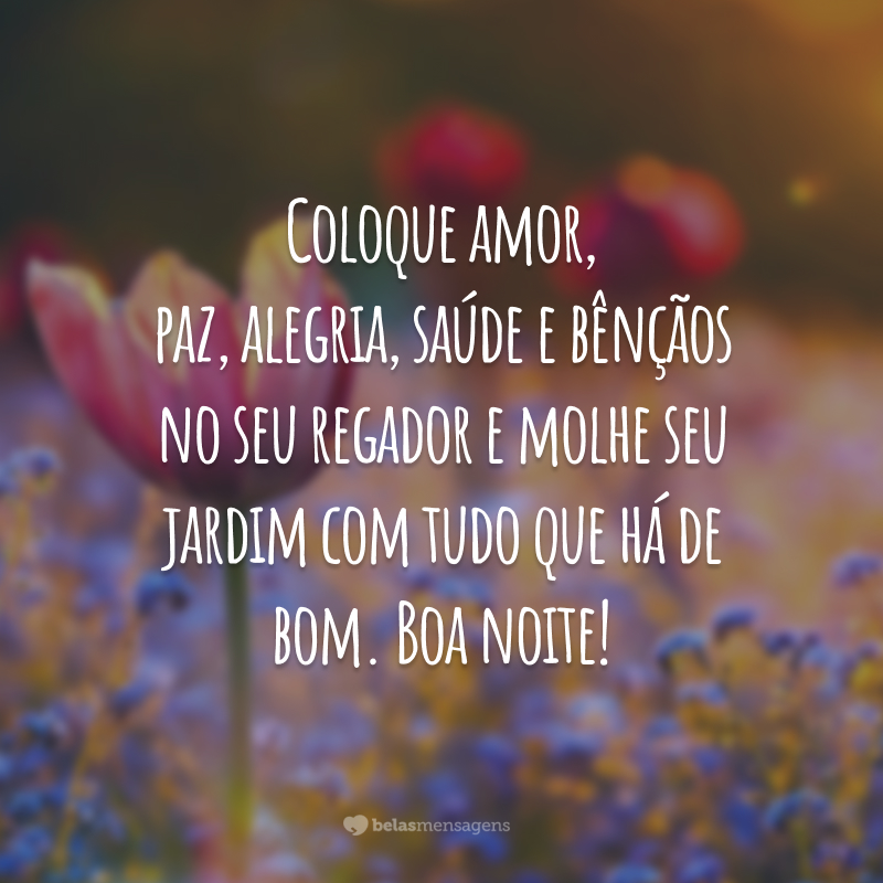 Coloque amor, paz, alegria, saúde e bênçãos no seu regador e molhe seu jardim com tudo que há de bom. Boa noite!