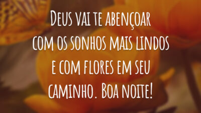 Deus vai te abençoar com os sonhos mais lindos e com flores em seu caminho. Boa noite!