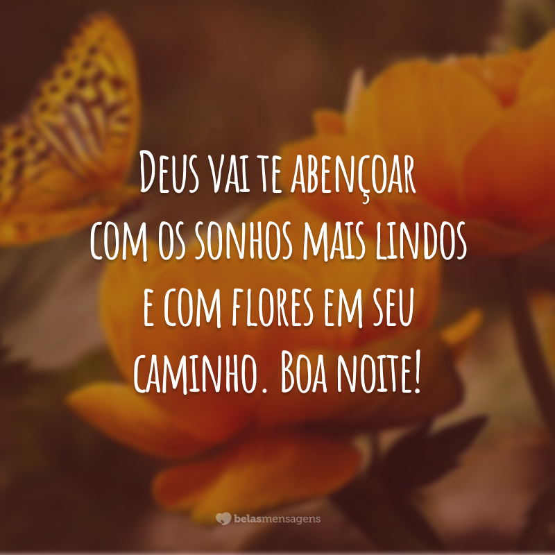 Deus vai te abençoar com os sonhos mais lindos e com flores em seu caminho. Boa noite!