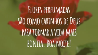Flores perfumadas são como carinhos de Deus para tornar a vida mais bonita. Boa noite!