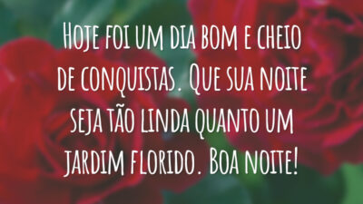 Hoje foi um dia bom e cheio de conquistas. Que sua noite seja tão linda quanto um jardim florido. Boa noite!