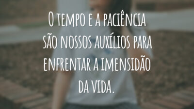 O tempo e a paciência são nossos auxílios para enfrentar a imensidão da vida.