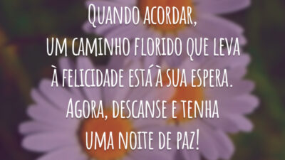 Quando acordar, um caminho florido que leva à felicidade está à sua espera. Agora, descanse e tenha uma noite de paz!