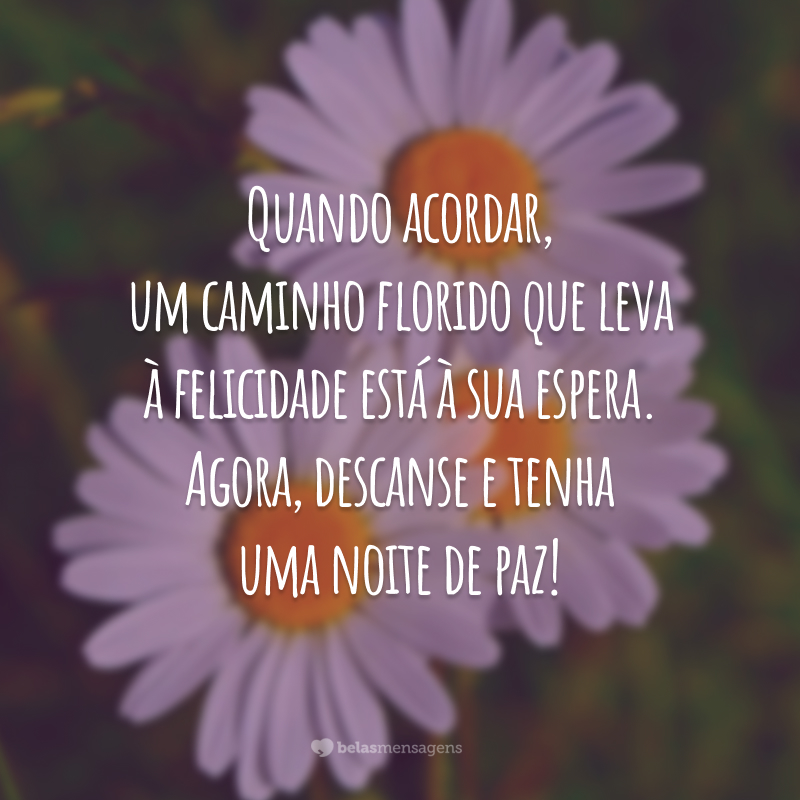 Quando acordar, um caminho florido que leva à felicidade está à sua espera. Agora, descanse e tenha uma noite de paz!