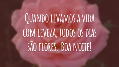 Quando levamos a vida com leveza, todos os dias são flores. Boa noite!