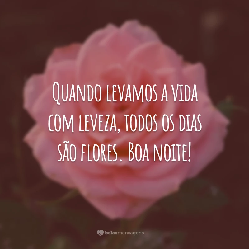 Quando levamos a vida com leveza, todos os dias são flores. Boa noite!