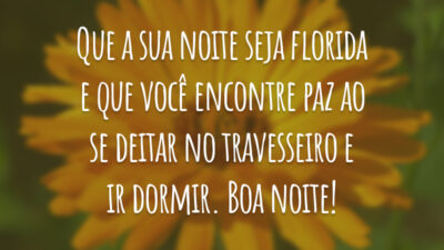 Que a sua noite seja florida e que você encontre paz ao se deitar no travesseiro e ir dormir. Boa noite!