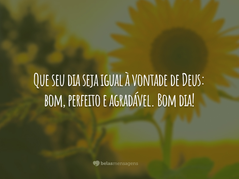 185 mensagens de bom dia para acordar motivado 185 mensagens de bom dia para acordar motivado