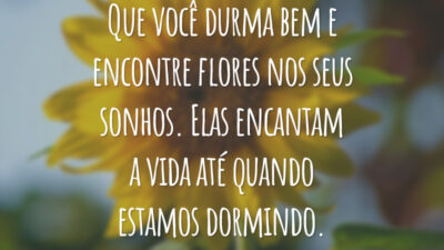 Que você durma bem e encontre flores nos seus sonhos. Elas encantam a vida até quando estamos dormindo.