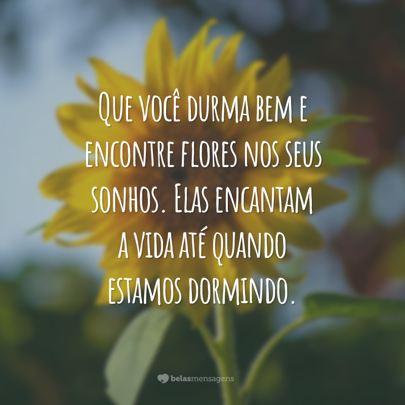 Que você durma bem e encontre flores nos seus sonhos. Elas encantam a vida até quando estamos dormindo.