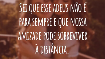 Sei que esse adeus não é para sempre e que nossa amizade pode sobreviver à distância.