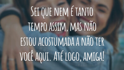 Sei que nem é tanto tempo assim, mas não estou acostumada a não ter você aqui. Até logo, amiga!
