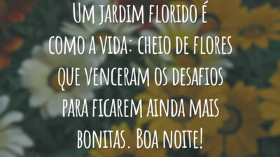 Um jardim florido é como a vida: cheio de flores que venceram os desafios para ficarem ainda mais bonitas. Boa noite!