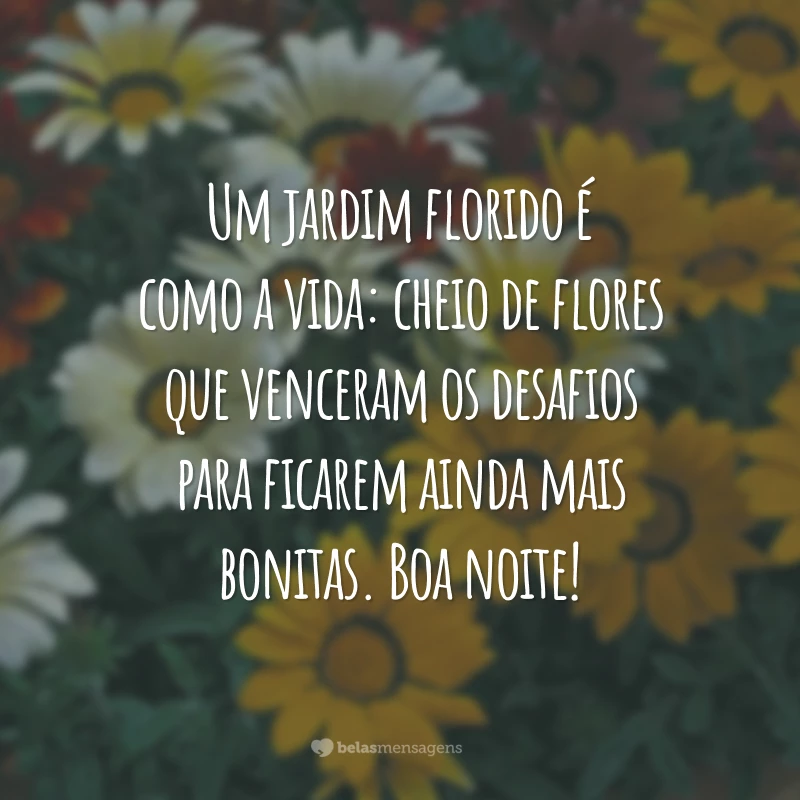 Um jardim florido é como a vida: cheio de flores que venceram os desafios para ficarem ainda mais bonitas. Boa noite!