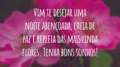Vim te desejar uma noite abençoada, cheia de paz e repleta das mais linda flores. Tenha bons sonhos!