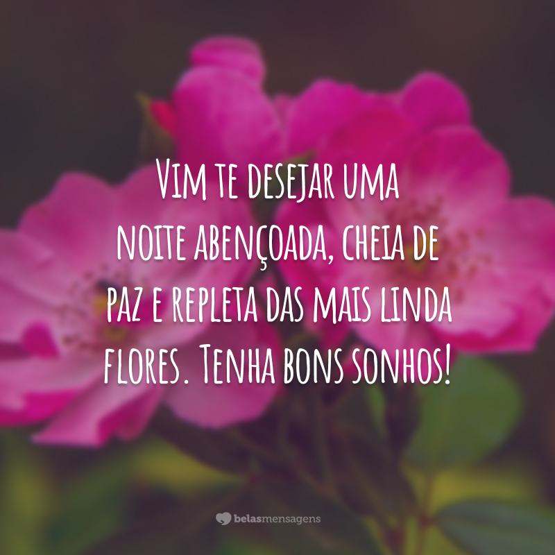 Vim te desejar uma noite abençoada, cheia de paz e repleta das mais linda flores. Tenha bons sonhos!