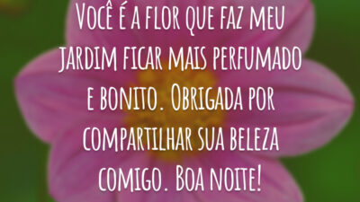 Você é a flor que faz meu jardim ficar mais perfumado e bonito. Obrigada por compartilhar sua beleza comigo. Boa noite!