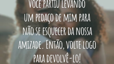 Você partiu levando um pedaço de mim para não se esquecer da nossa amizade. Então, volte logo para devolvê-lo!