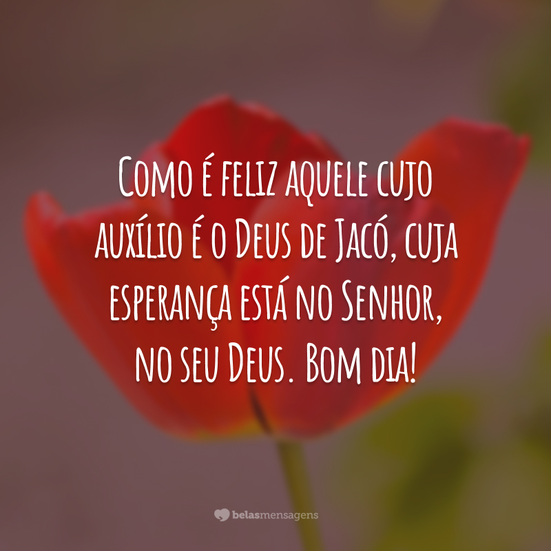 Como é feliz aquele cujo auxílio é o Deus de Jacó, cuja esperança está no Senhor, no seu Deus. Bom dia!