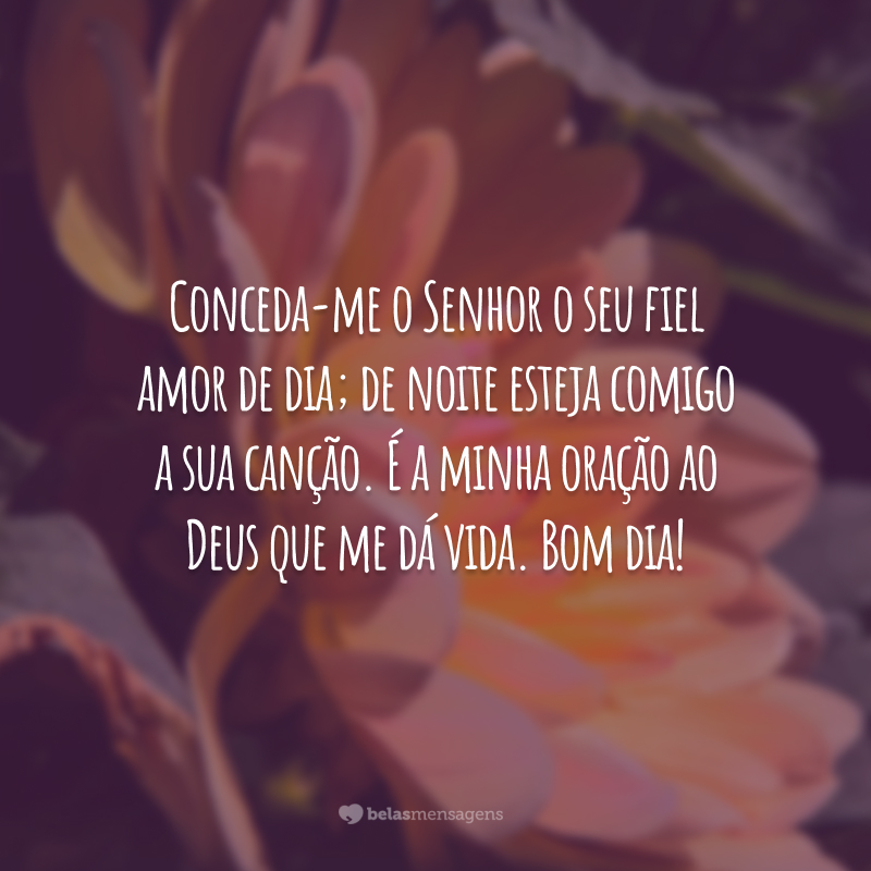 Conceda-me o Senhor o seu fiel amor de dia; de noite esteja comigo a sua canção. É a minha oração ao Deus que me dá vida. Bom dia!