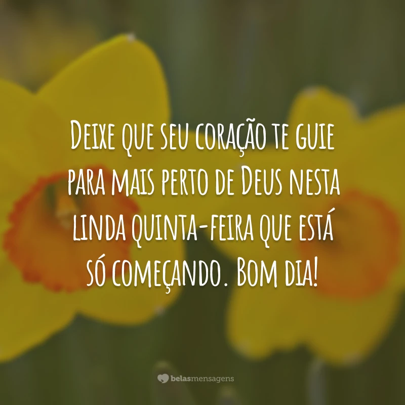 Deixe que seu coração te guie para mais perto de Deus nesta linda quinta-feira que está só começando. Bom dia!