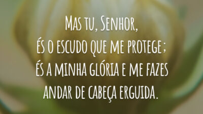 Mas tu, Senhor, és o escudo que me protege; és a minha glória e me fazes andar de cabeça erguida.