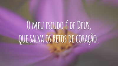 O meu escudo é de Deus, que salva os retos de coração.