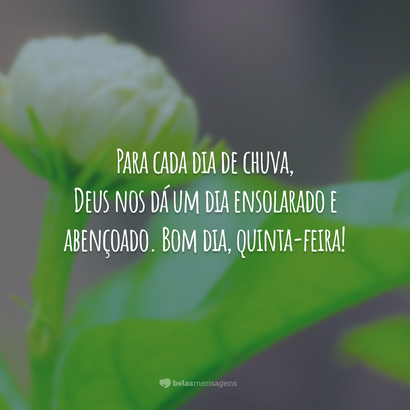 Para cada dia de chuva, Deus nos dá um dia ensolarado e abençoado. Bom dia, quinta-feira!